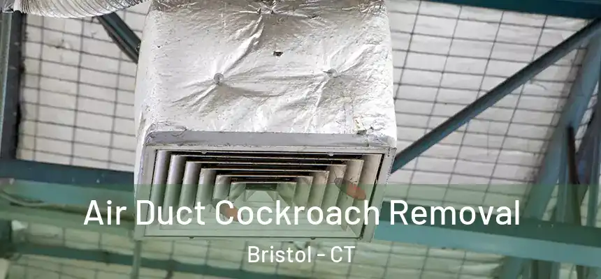  Air Duct Cockroach Removal Bristol - CT
