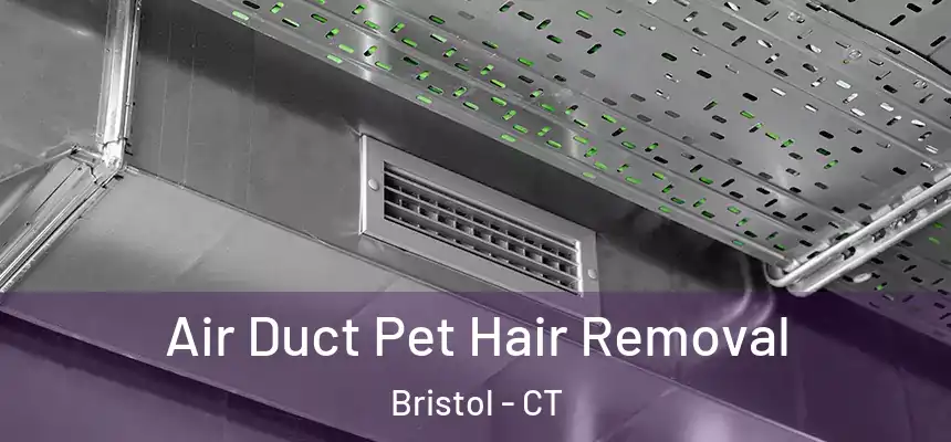  Air Duct Pet Hair Removal Bristol - CT