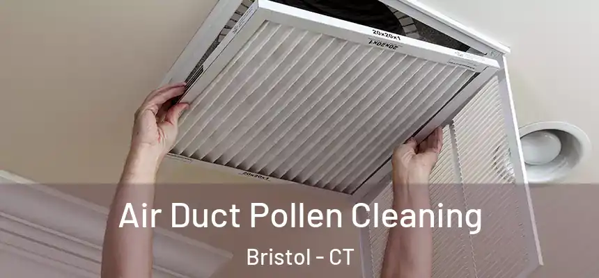  Air Duct Pollen Cleaning Bristol - CT