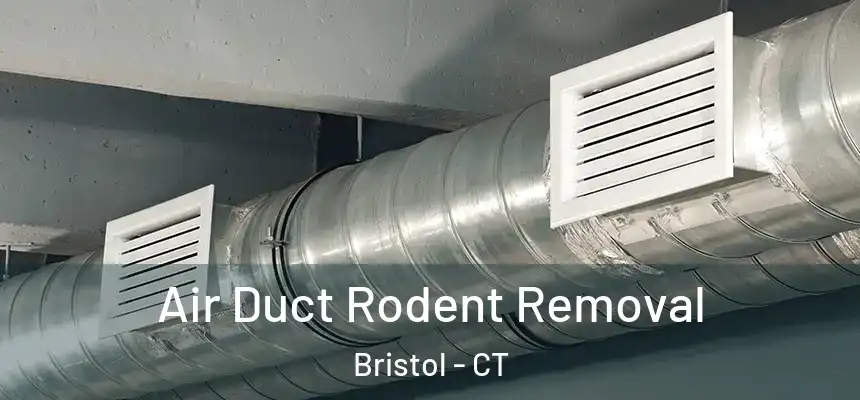  Air Duct Rodent Removal Bristol - CT