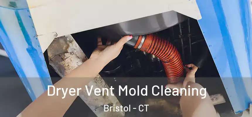  Dryer Vent Mold Cleaning Bristol - CT