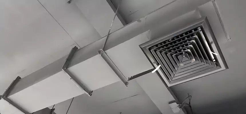 Our Rodent Droppings In Vents Services in Bristol, CT