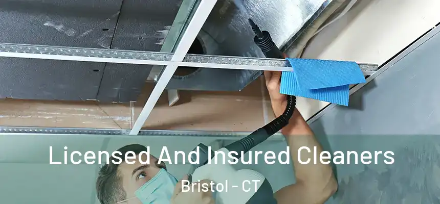  Licensed And Insured Cleaners Bristol - CT