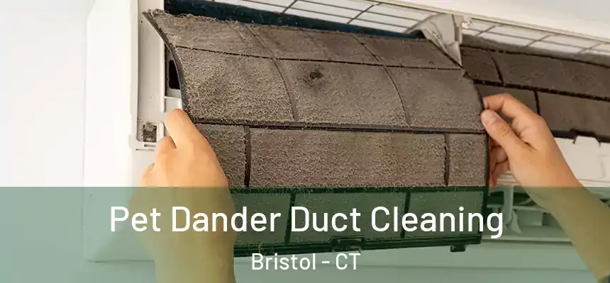  Pet Dander Duct Cleaning Bristol - CT
