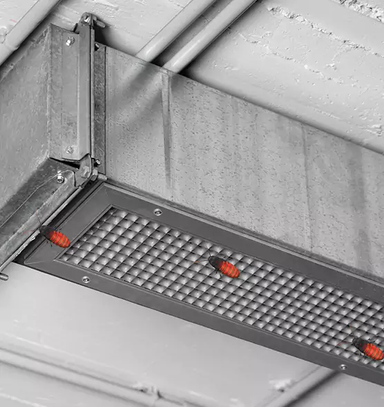 About Air Duct Cockroach Removal in Bristol, CT