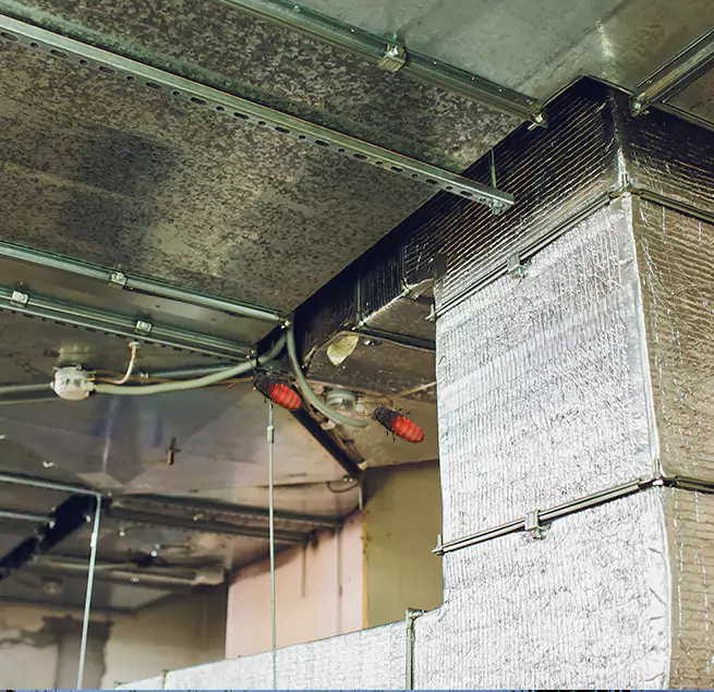 Why Homeowners & Businesses Trust Us in Bristol, CT?