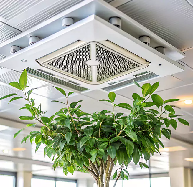 Why Homeowners & Businesses Trust Us in Bristol, CT?